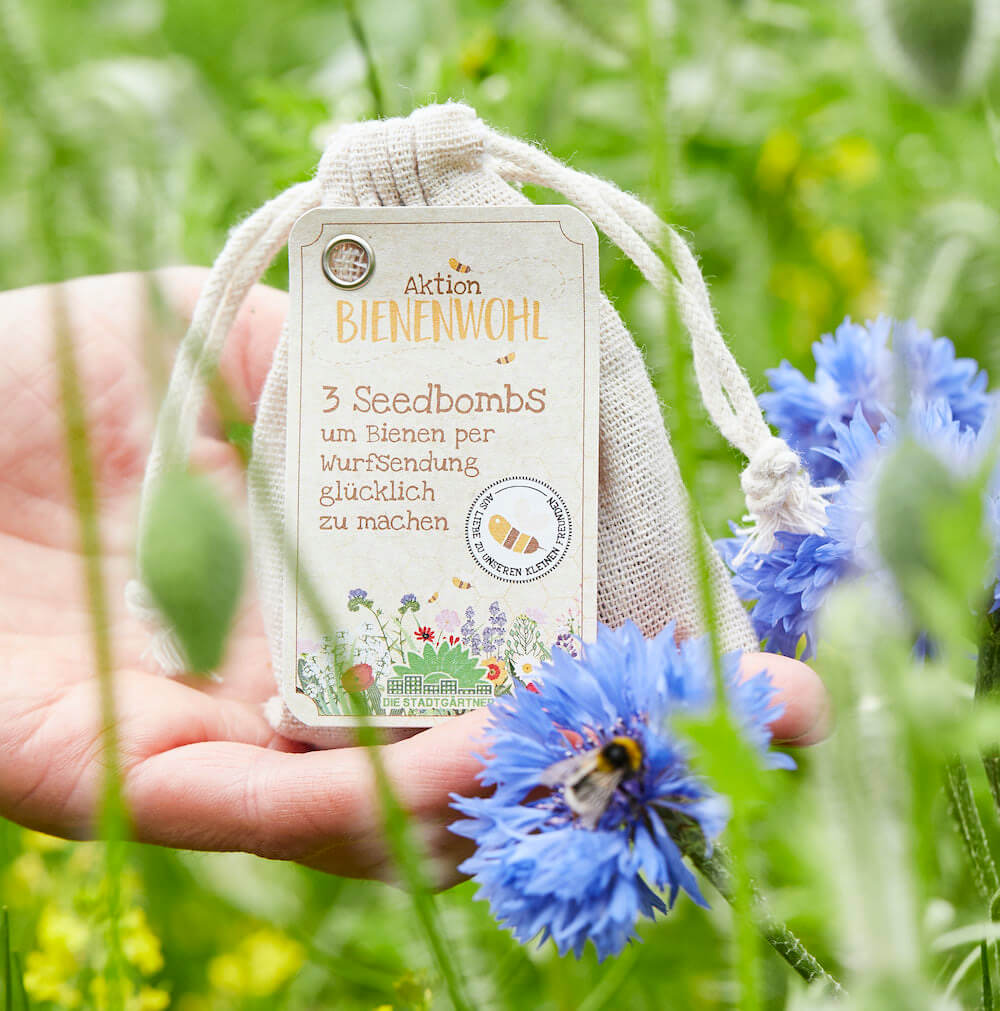 3 Bienenwohl-Samenbomben im Jutebeutel