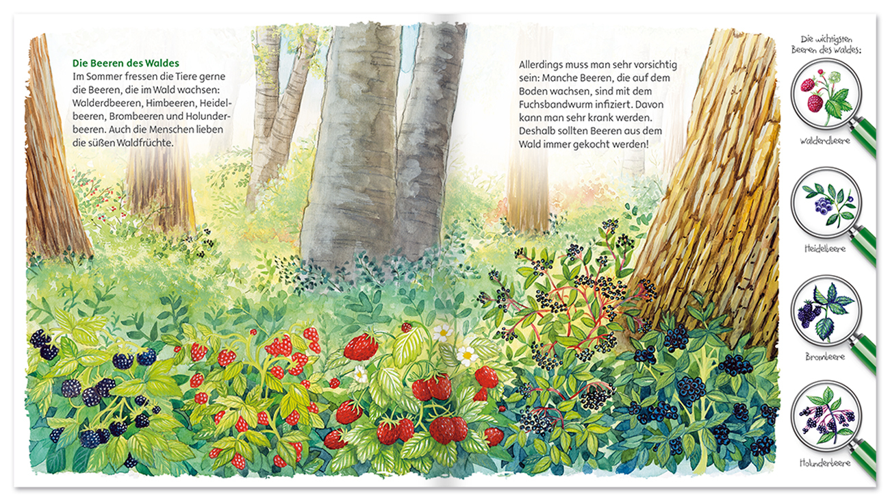 Der Wald