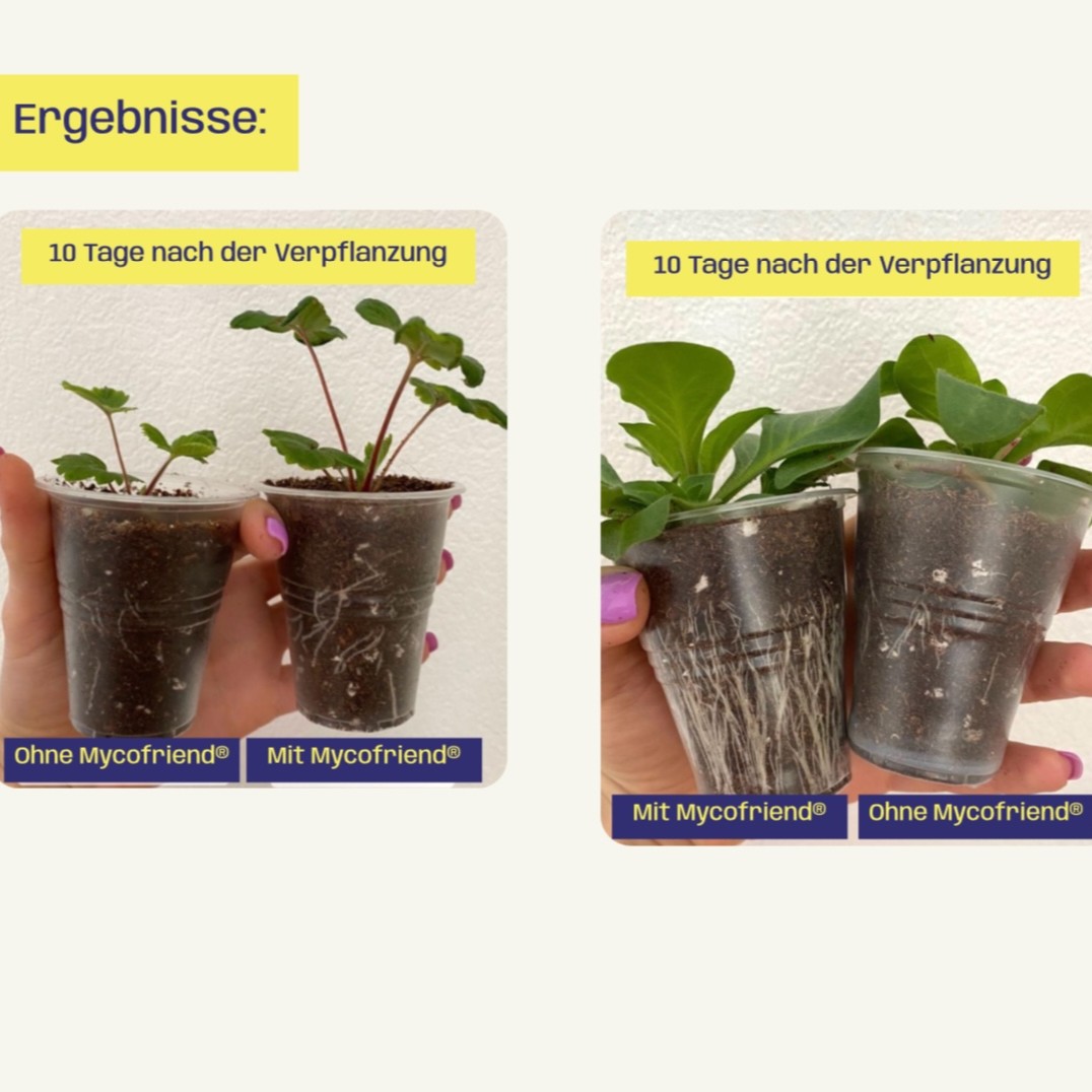 Wurzelaktivator Mycofriend 10g