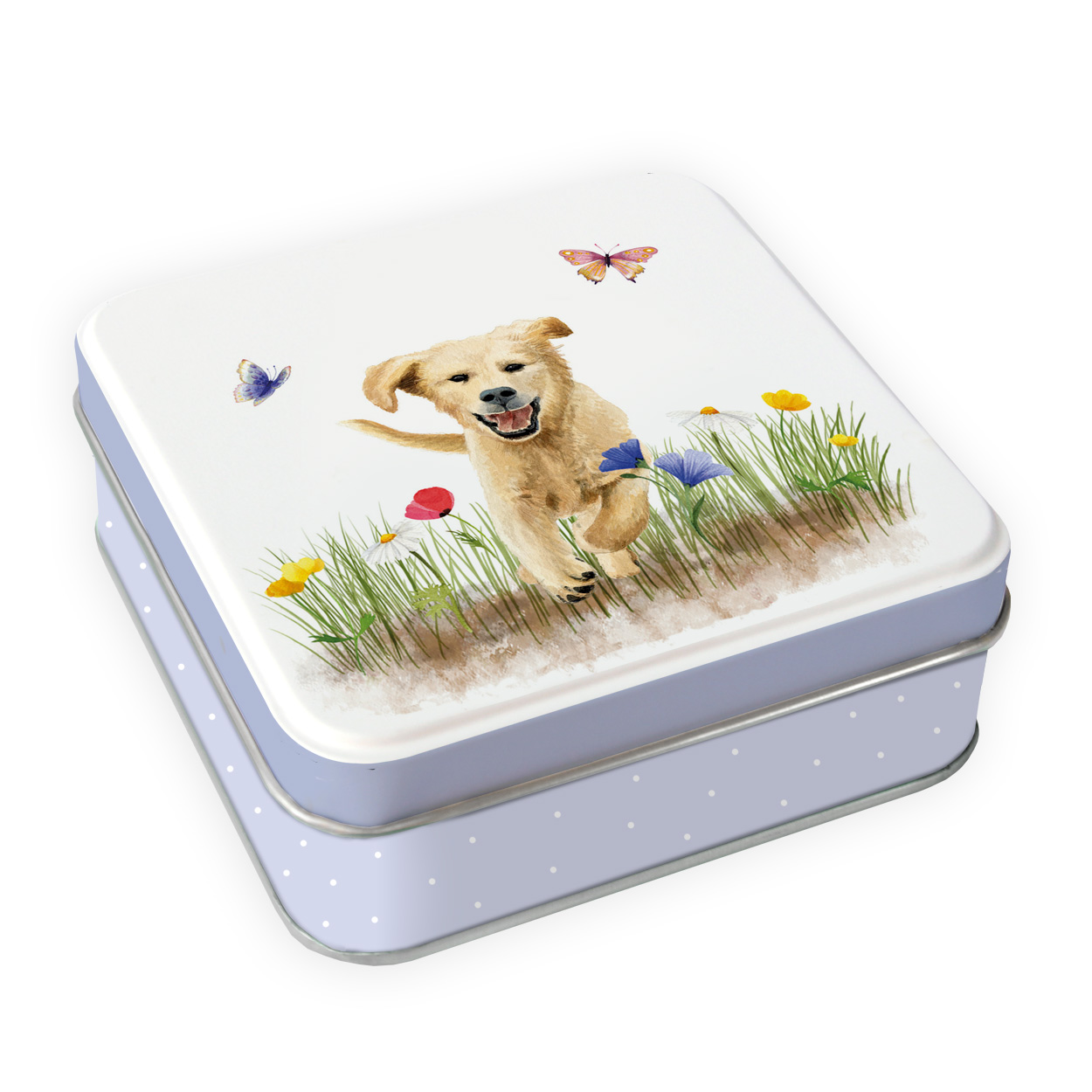 Geschenkdose Hundespaß