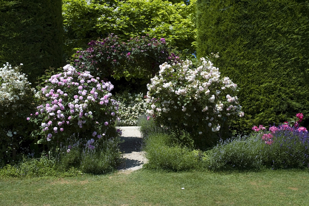 Königin von Dänemark