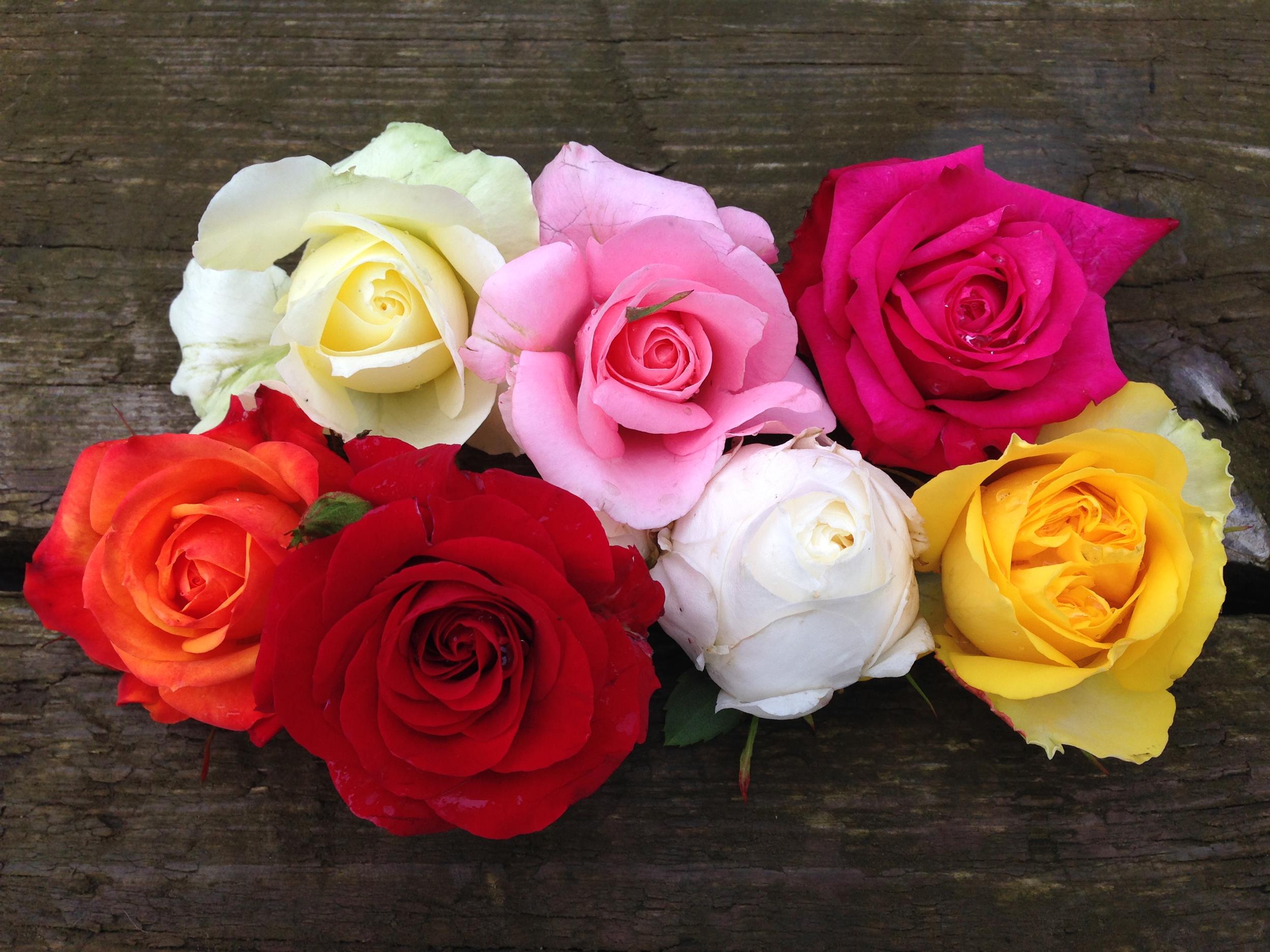 Sweet Perfume