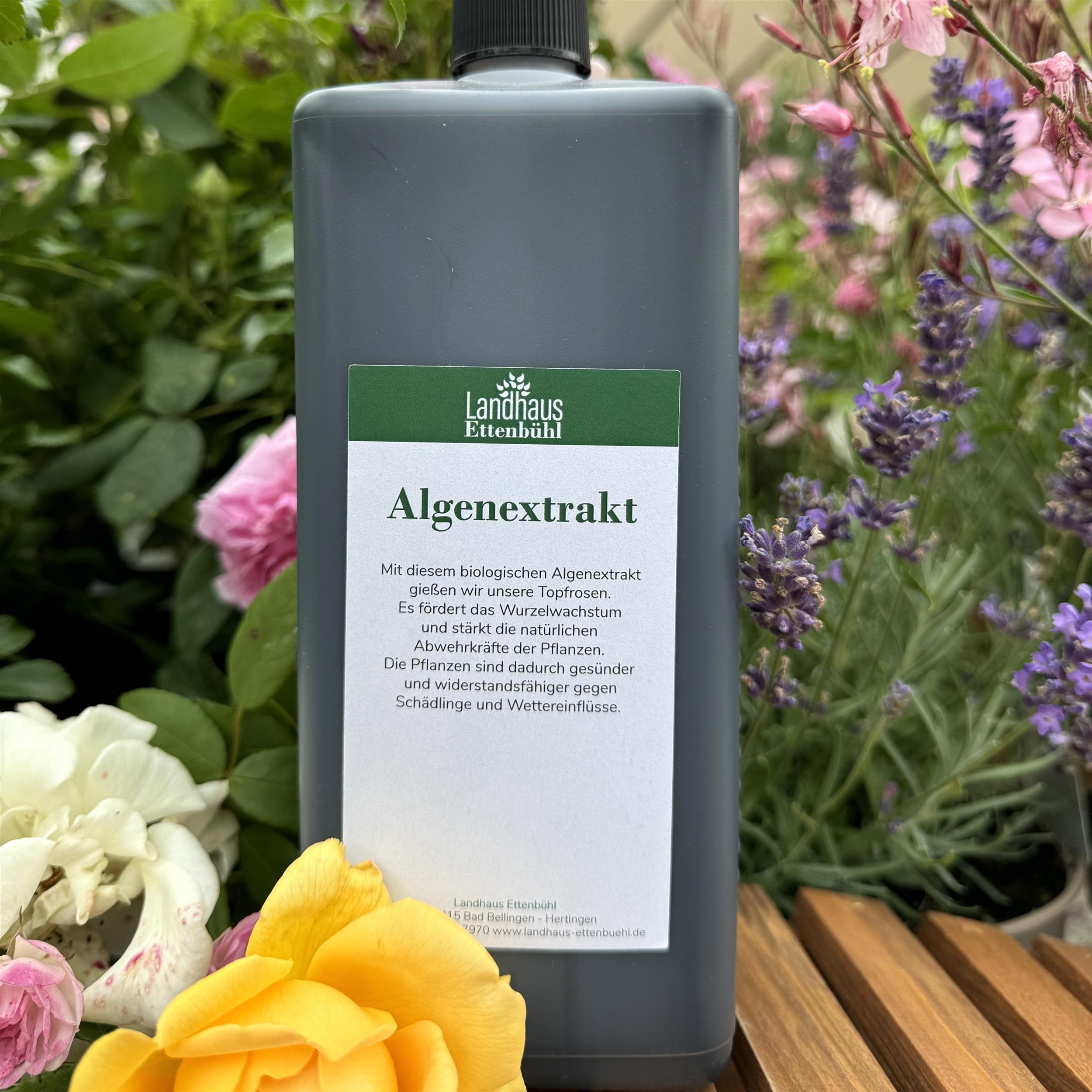 Algenextrakt - Pflanzenhilfsmittel flüssig
