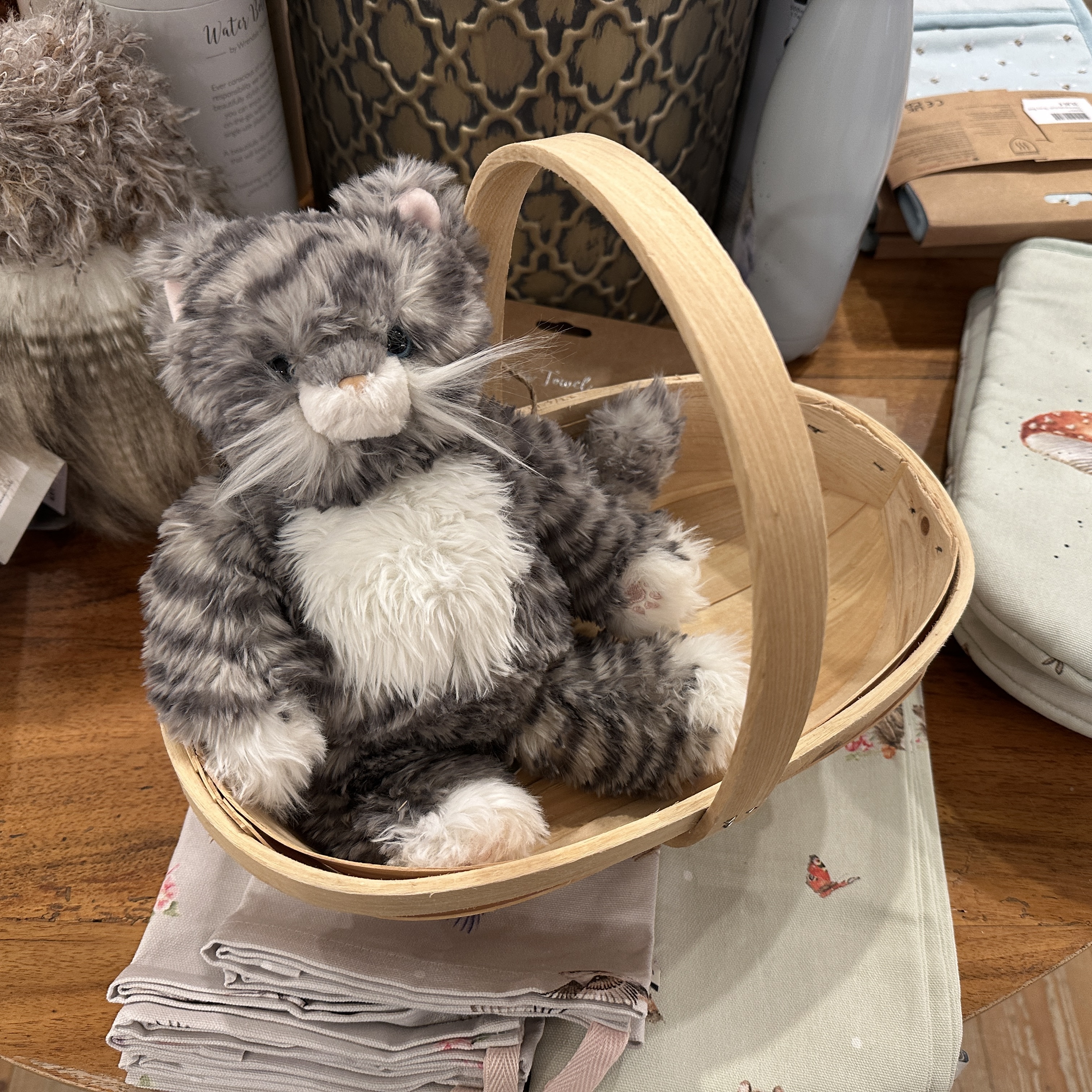 Katze jun. "Esmeralda" im Korb