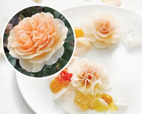Mystic Essbare Rose