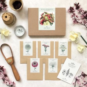 Wild Bouquets Zinnia Collection