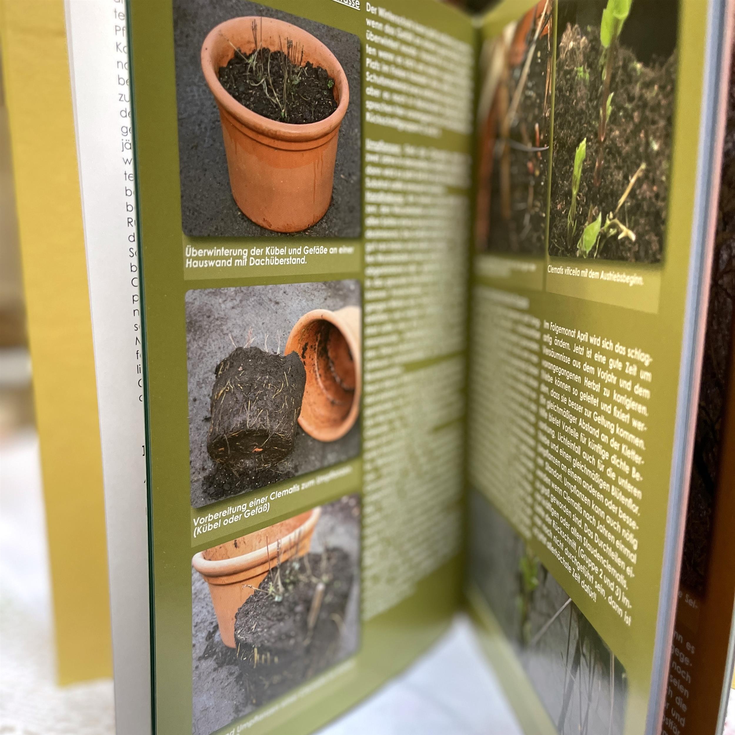 Das Clematis Jahrbuch - 365 Tage Freude mit Clematis