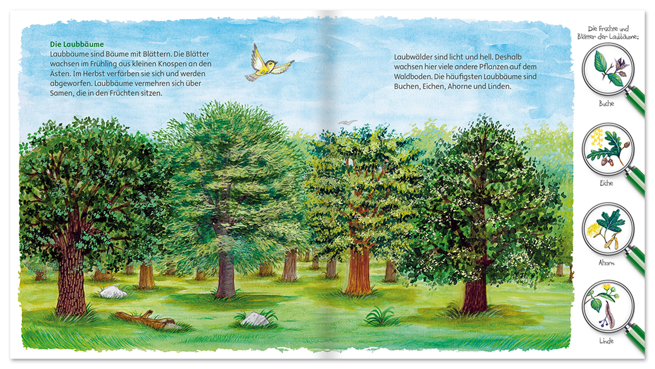 Der Wald