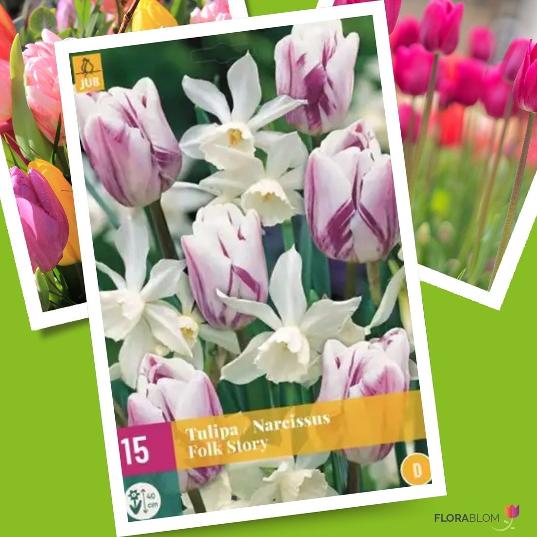 Tulpen & Narzissen Mischung Folk Story