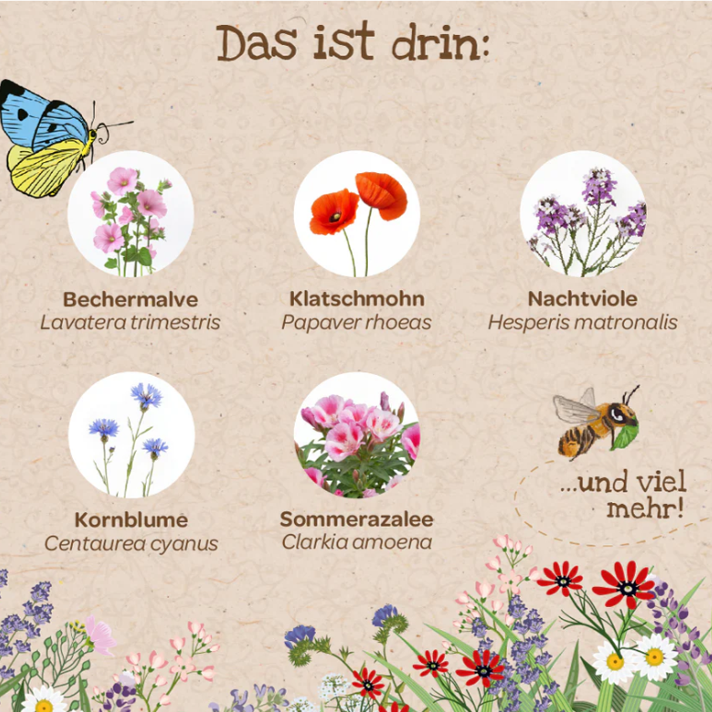 Bienenwohl - Blütenteppich