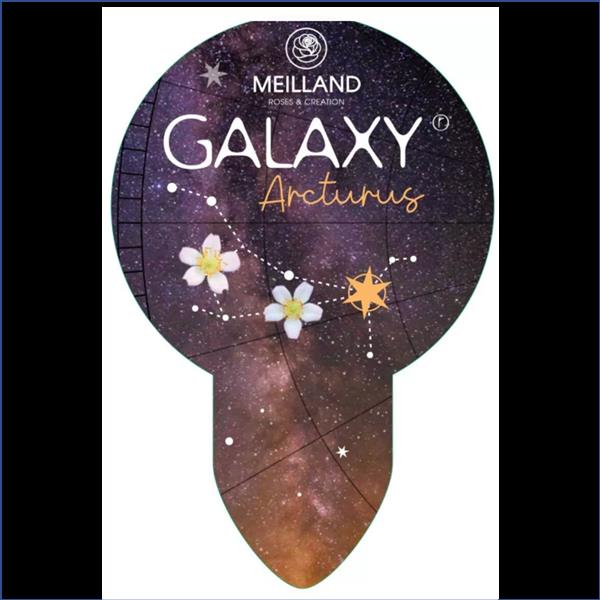 Arcturus Galaxy 2L