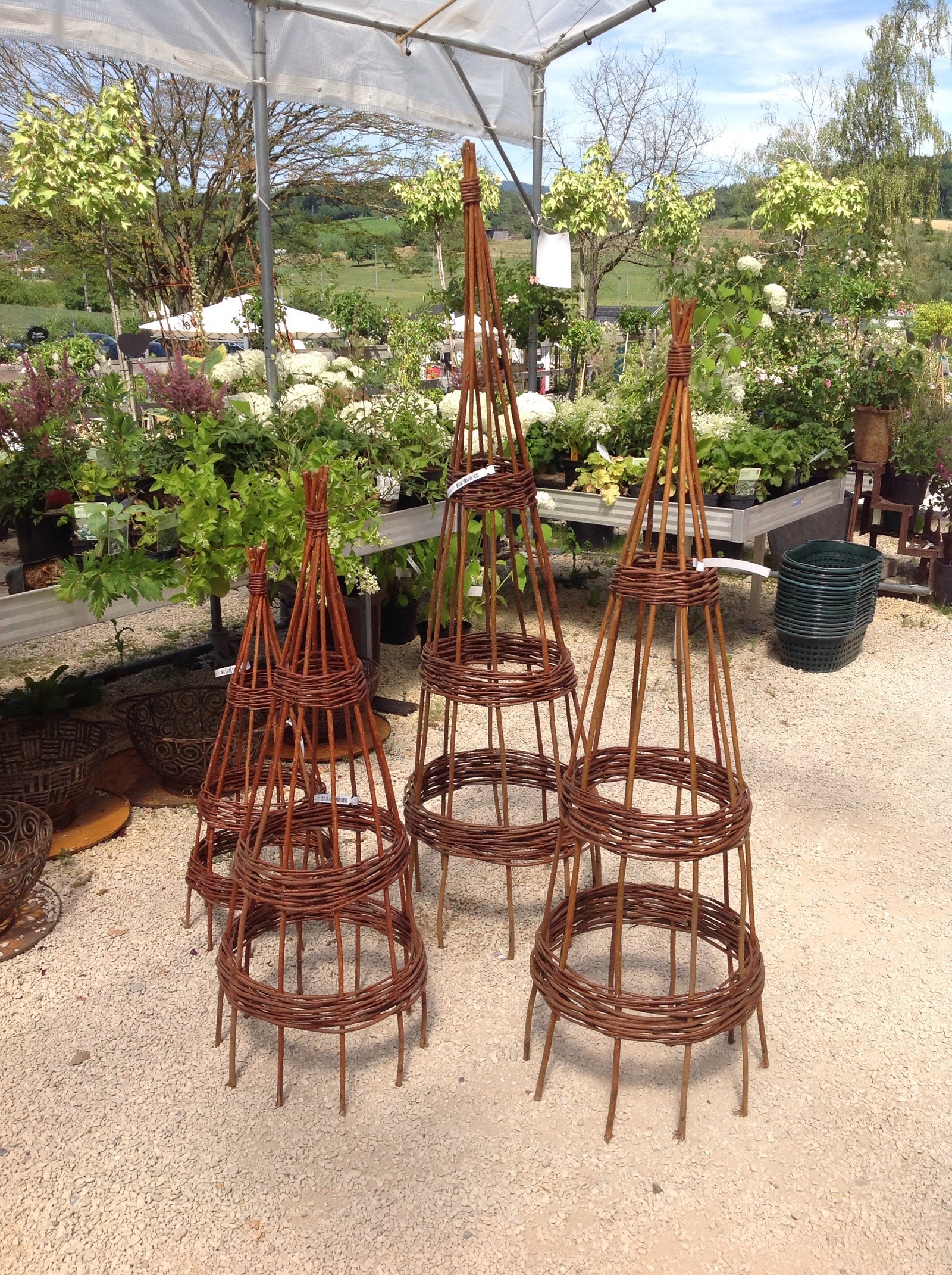Weidenpyramide 'clear' 60 cm