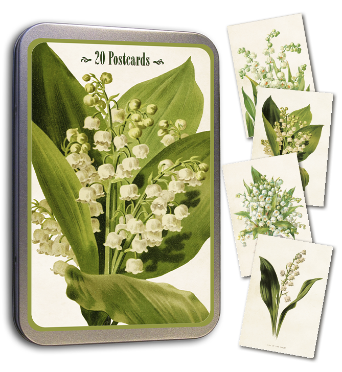Lily of the Valley Postkarten in Dose