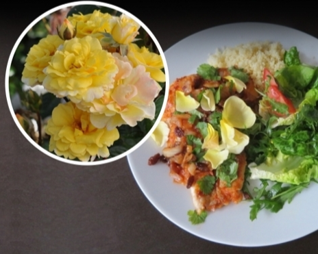 Nadia Zerouali Essbare Rose