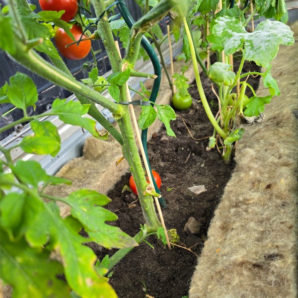 Mary´s Gartenwolle Schneckenbremse, natur