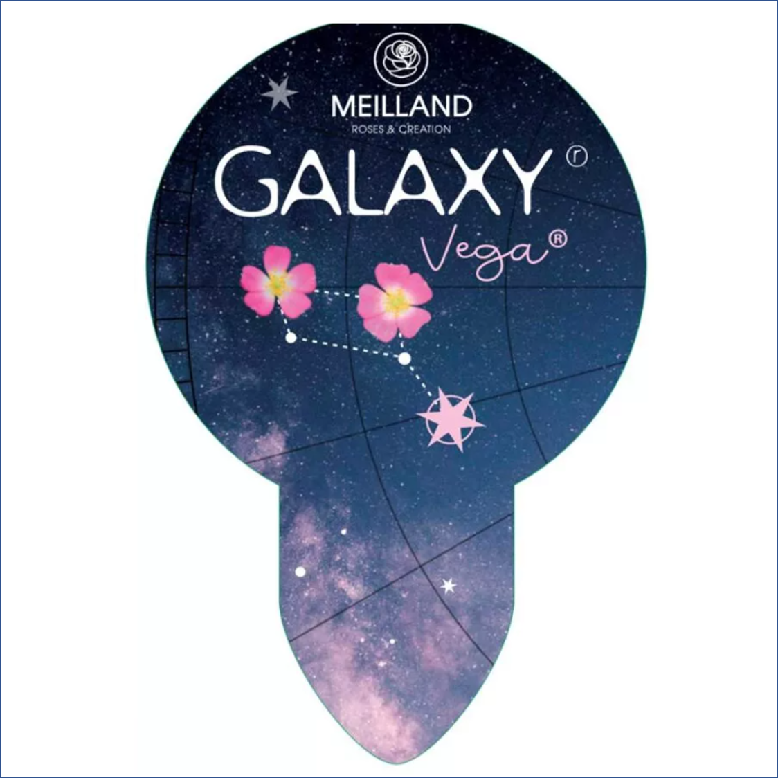 Vega Galaxy 2L