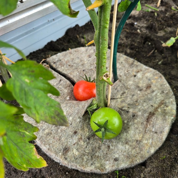 Mary´s Gartenwolle‐Disc L, natur