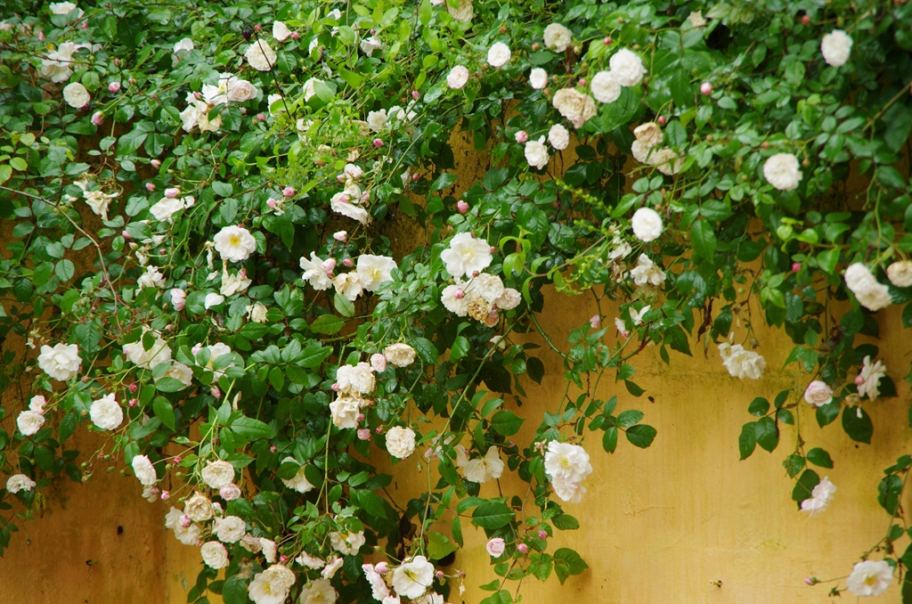 Felicite et Perpetue