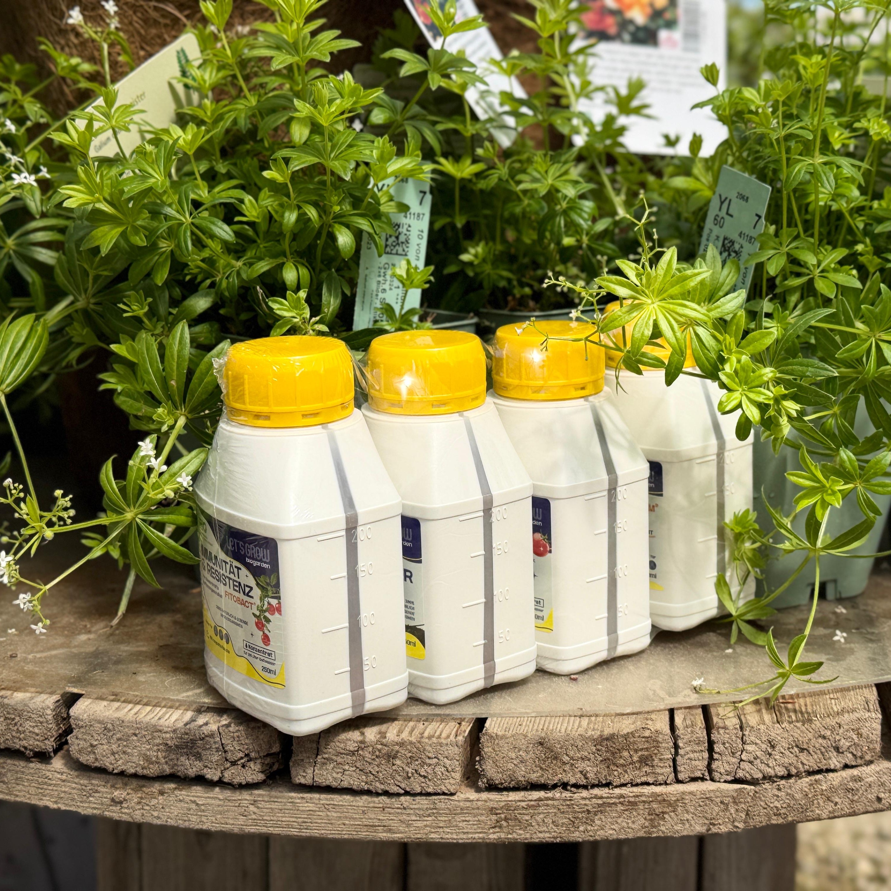 Bio Starter Kit für kleinen Garten