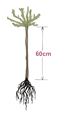 HW6