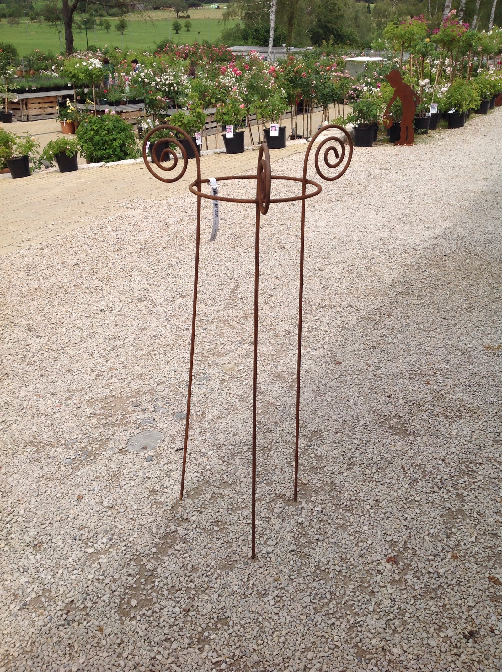 Strauchhalter 'Waldhorn' 30x70cm