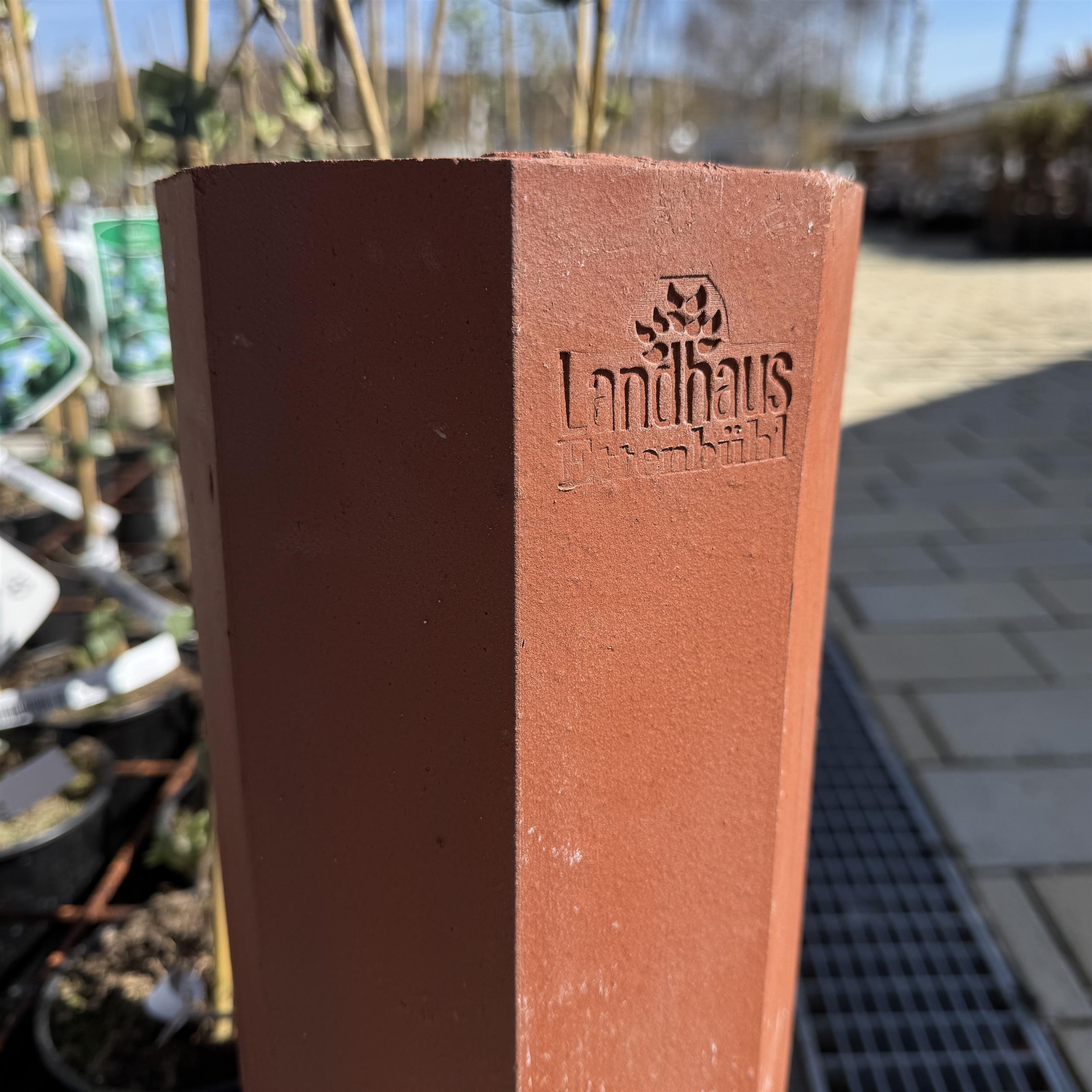 Clematis-Pflanzröhre aus gebranntem Ton