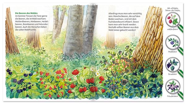 Der Wald