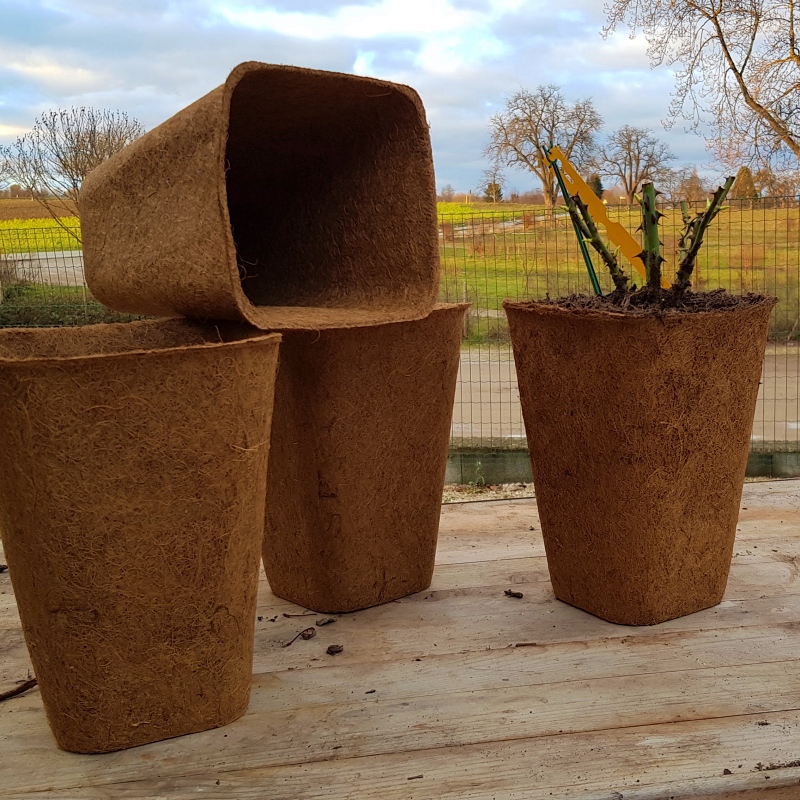 Bio Container