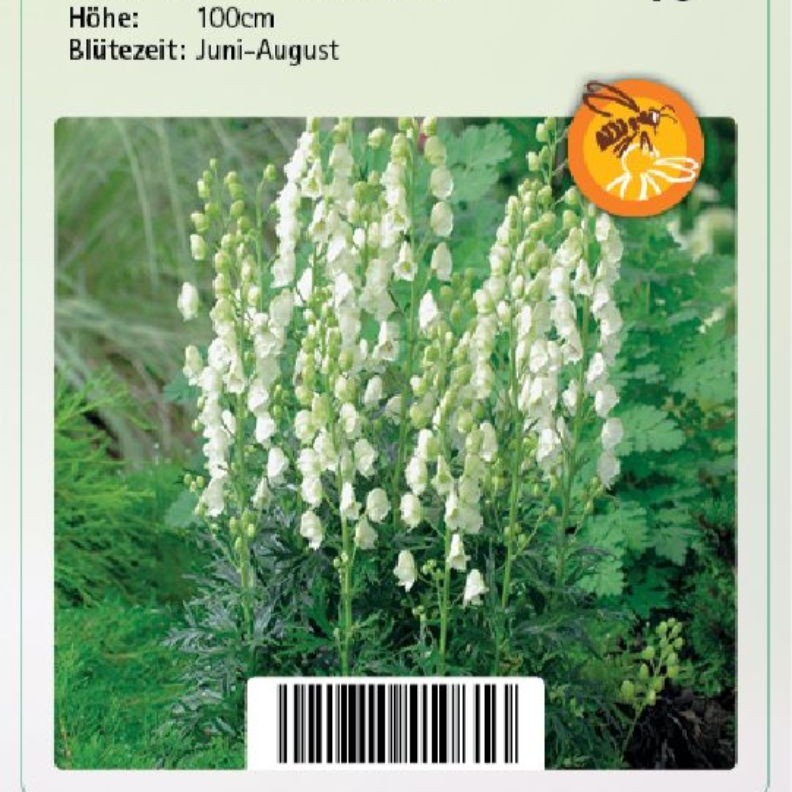 Aconitum napellus 'Album' 1L