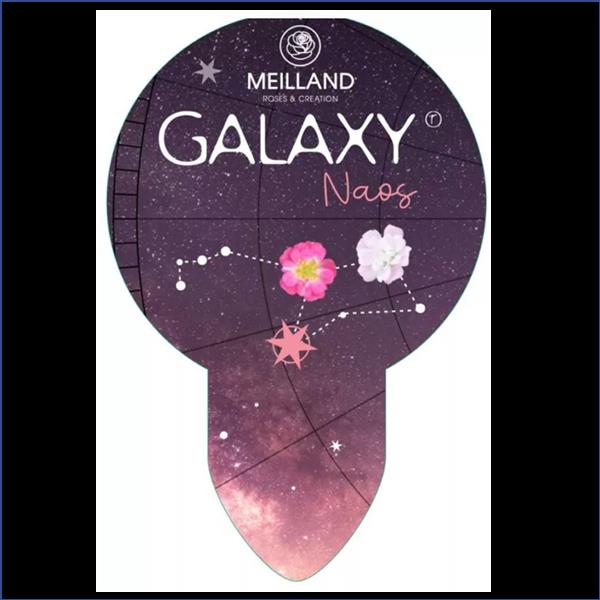 Naos Galaxy 2L