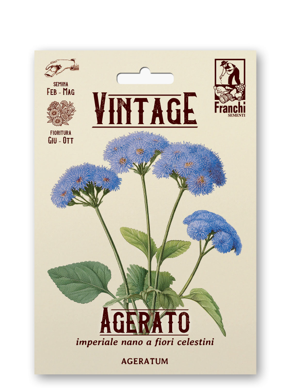 Agerato Leberbalsam Retro Ageratum houstonianum