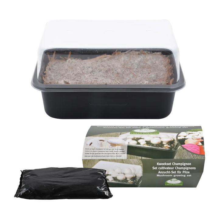 Anzucht-Set Pilze