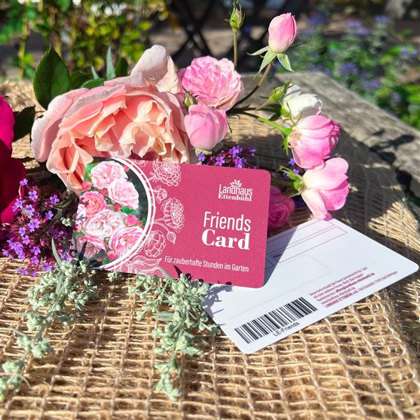 Friends - Card