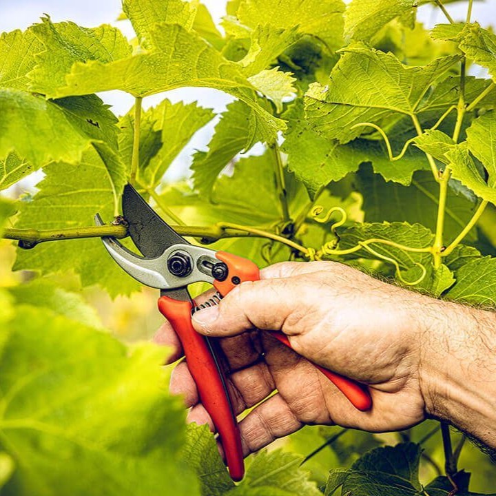 Original LÖWE 14 Standardgriff