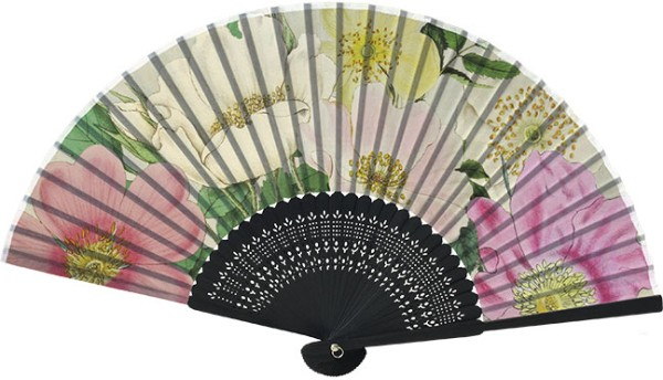 Accessoires