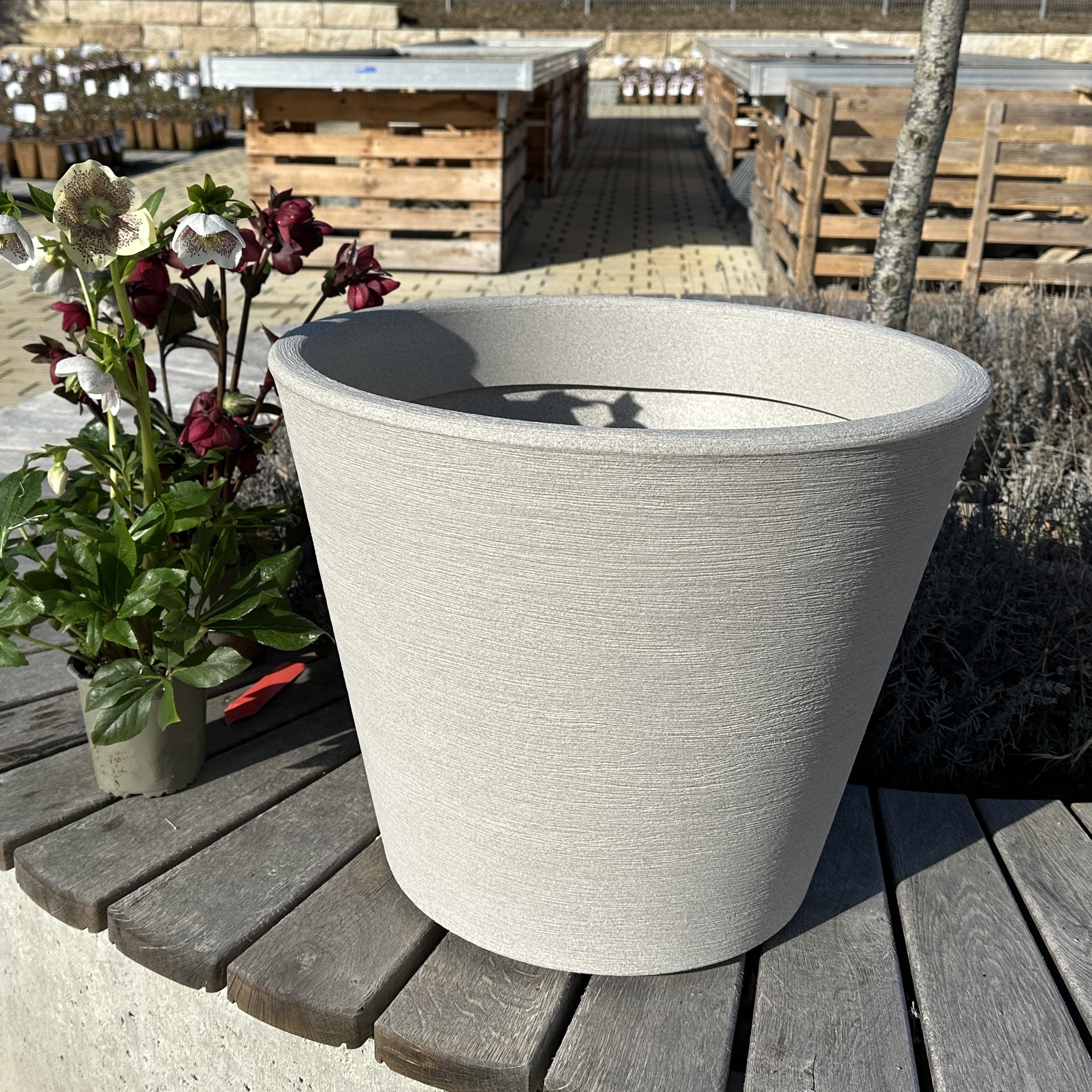Pflanztopf CAMPANULA 55 sand