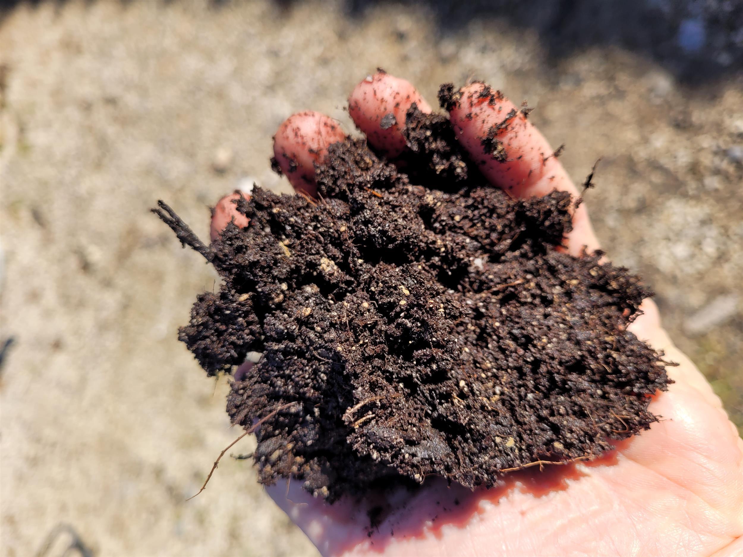 Ettenbühler Bio-Rosenerde 20 Liter