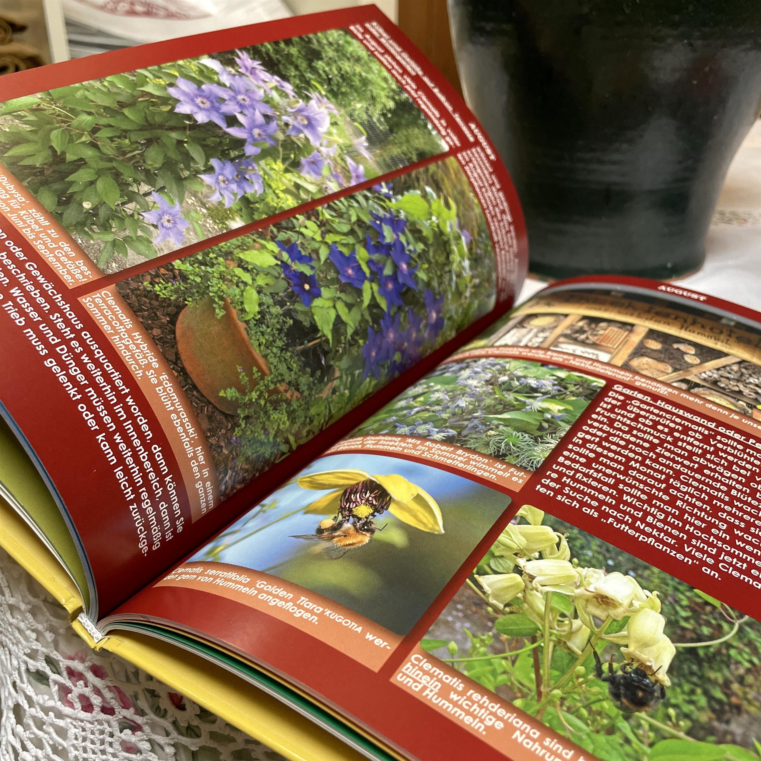 Das Clematis Jahrbuch - 365 Tage Freude mit Clematis