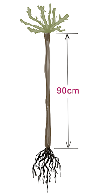 HW9