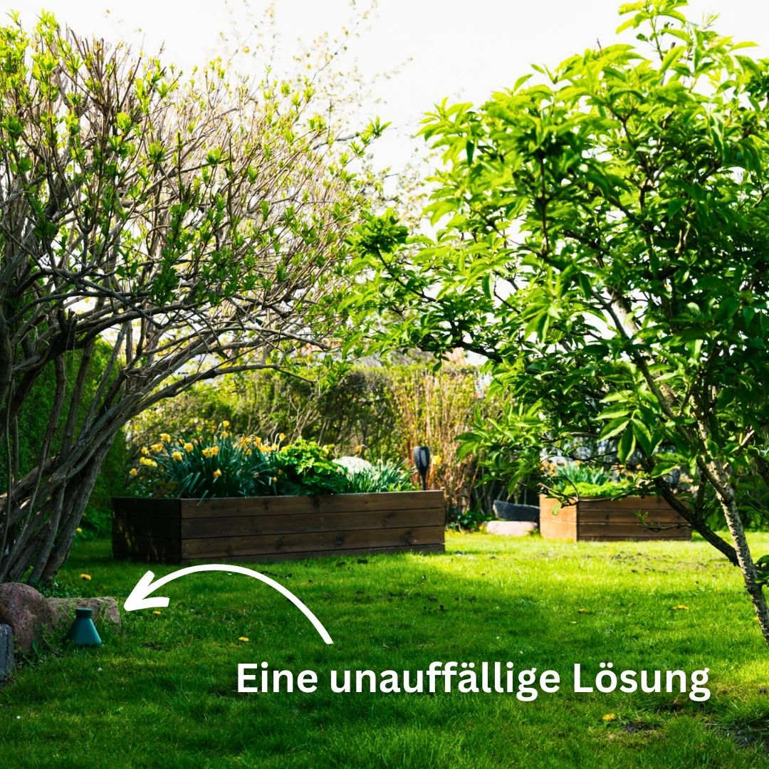 Schneckenfalle: Paket mit 2 Fallen