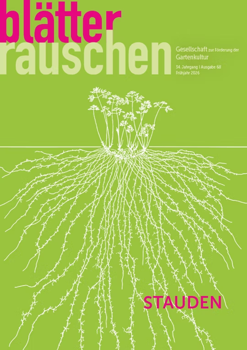blätterrauschen 'Stauden'
