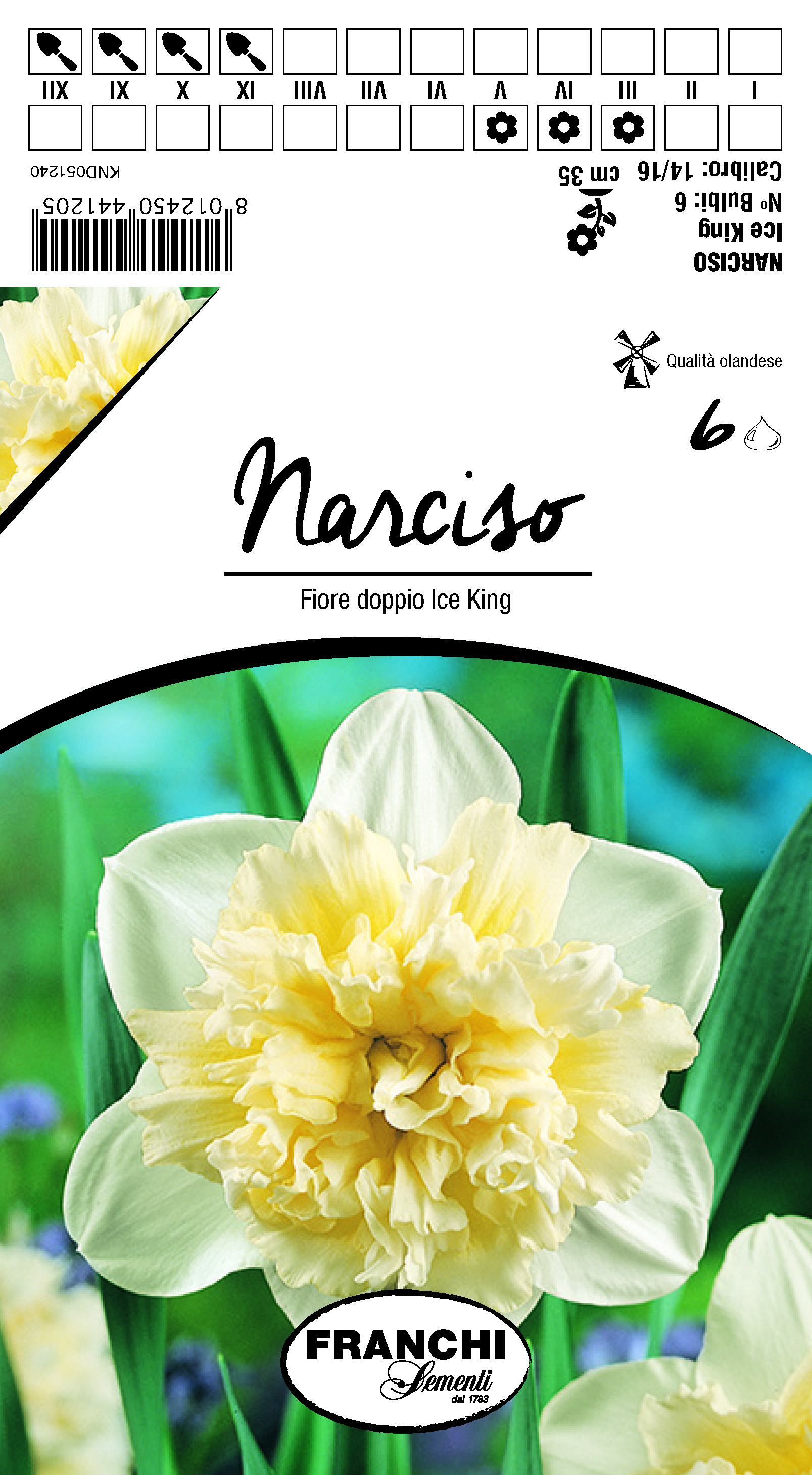 Narcissus Fiore doppio 'Ice King'