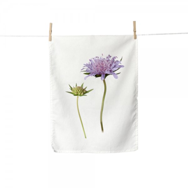 Geschirrtuch Acker-Witwenblume