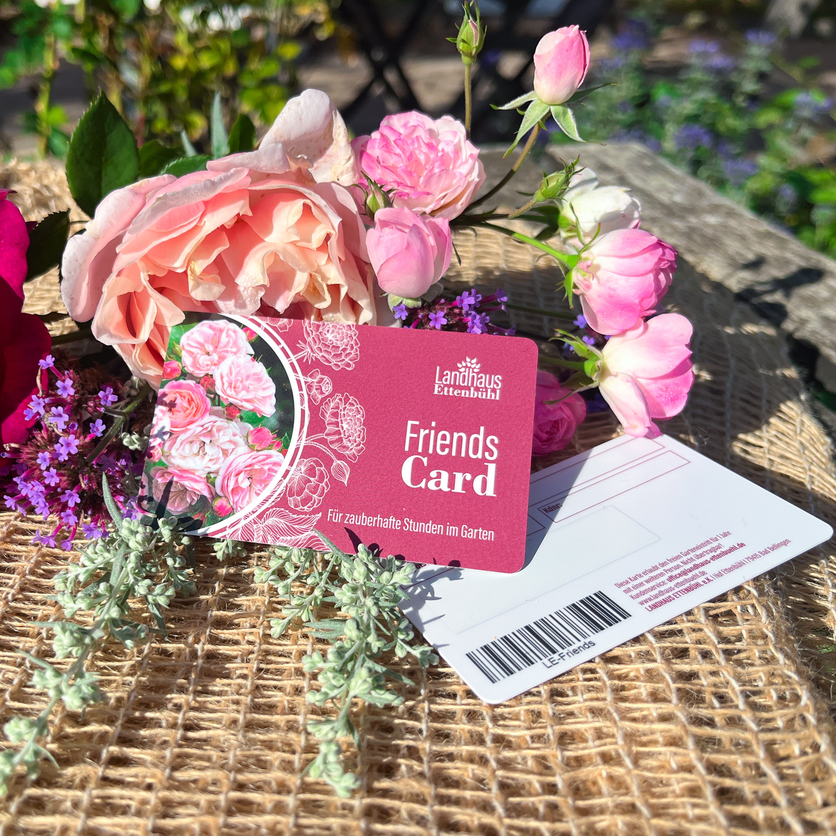 Friends - Card