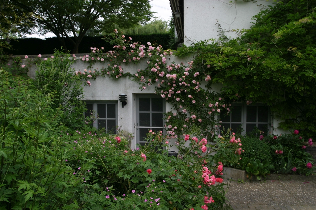 Albertine