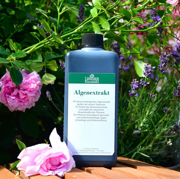 Algenextrakt Pflanzenhilfsmittel 500 ml