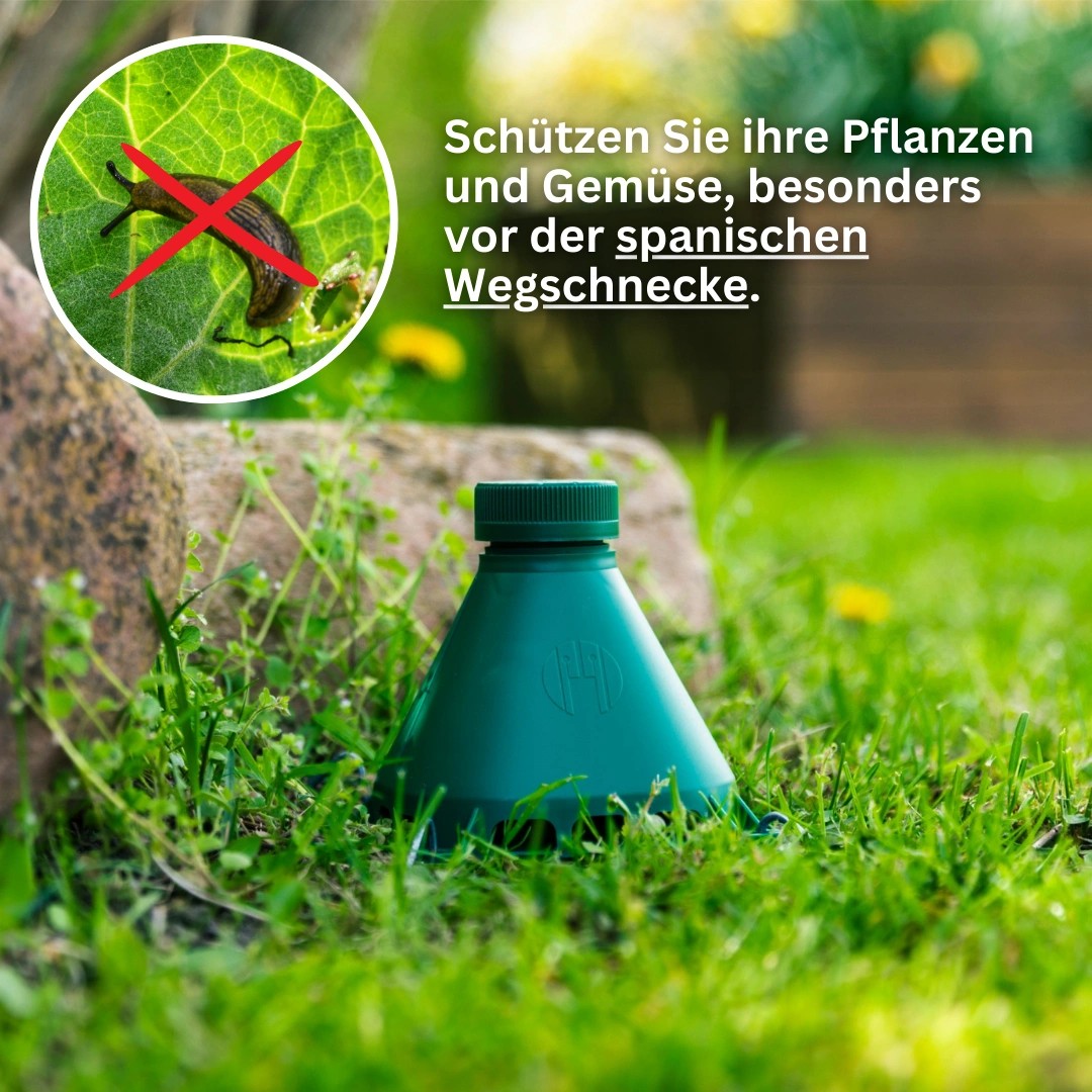 Schneckenfalle: Paket mit 2 Fallen