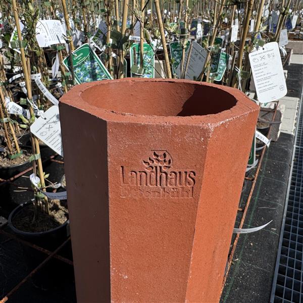 Clematis-Pflanzröhre aus gebranntem Ton