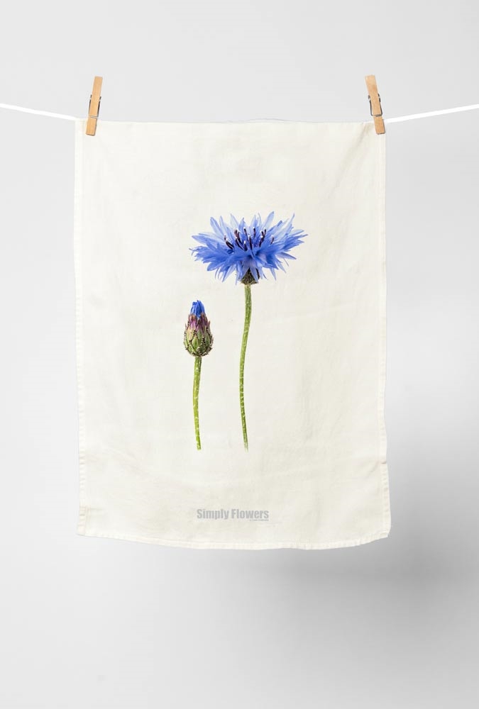 Geschirrtuch Kornblume