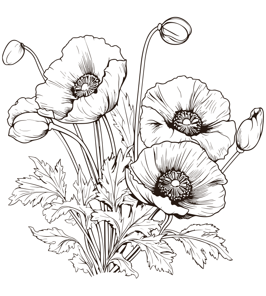 Landhaus Ettenbühl - Pflanzen